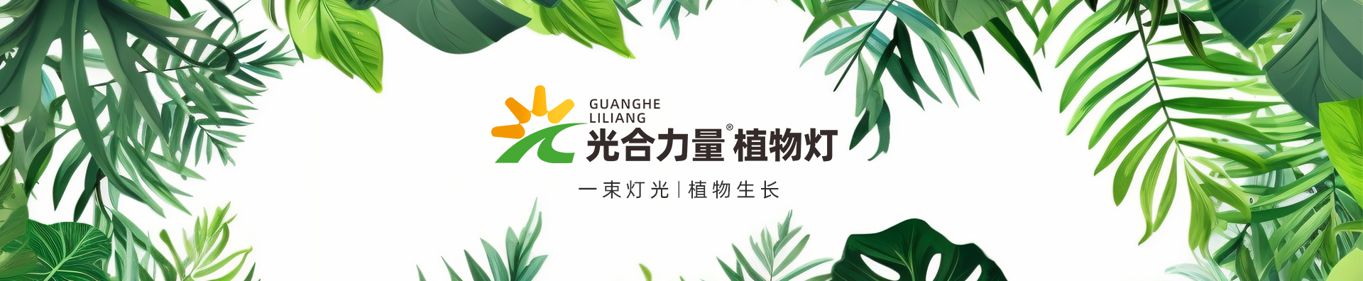 Case Banner